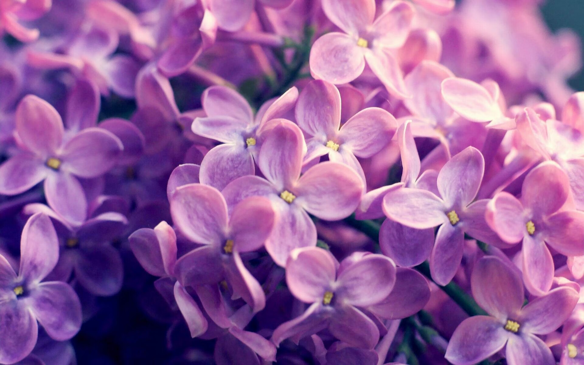 九游中国-格纳布里终场前爆发，莱比锡红牛补时绝杀逆转曼城